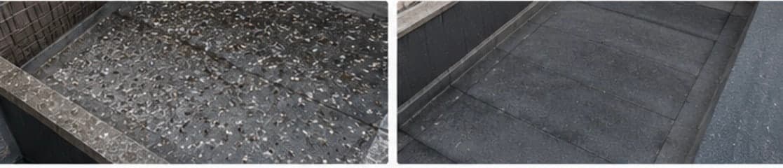 Nettoyage de fientes de pigeons à Lille