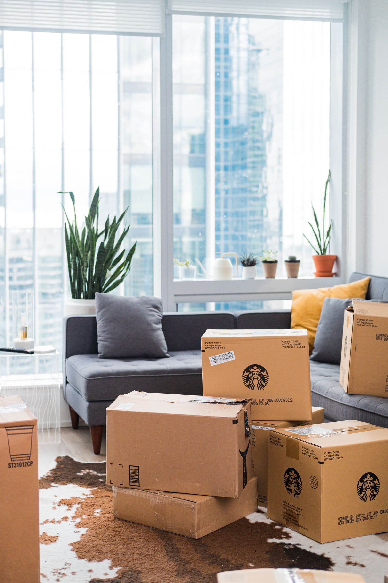 Débarras d'un logement encombré